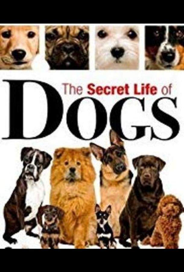 BBC: Секреты собак